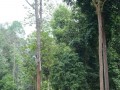 Tn PPTC 088